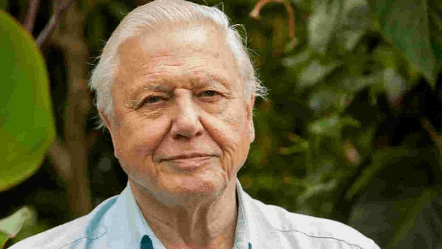 David_Attenborough