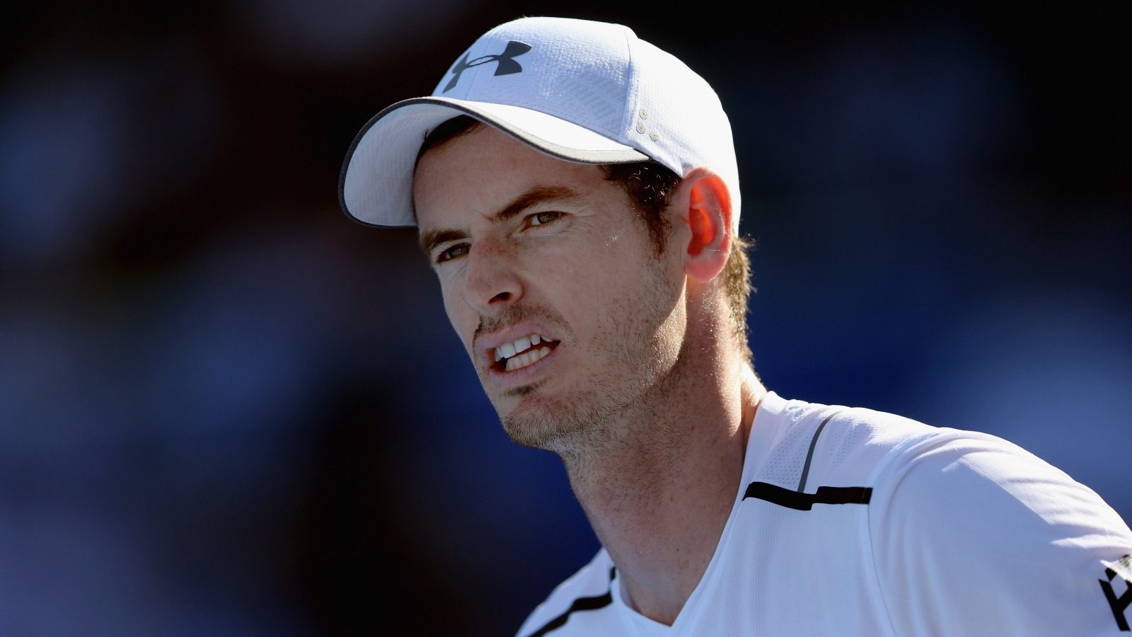 Andy_Murray_-_Tennis_Player